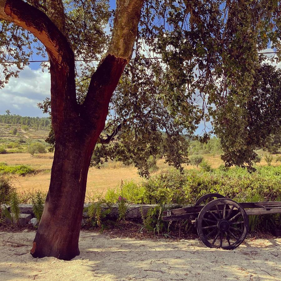 Quinta Da Corga Hotel Prova Kültér fotó