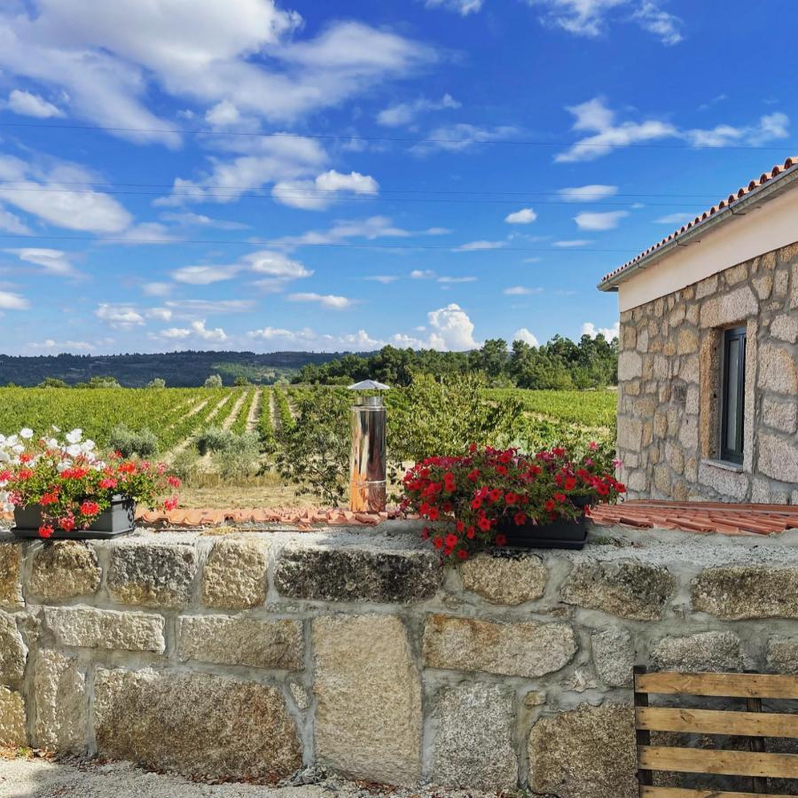 Quinta Da Corga Hotel Prova Kültér fotó